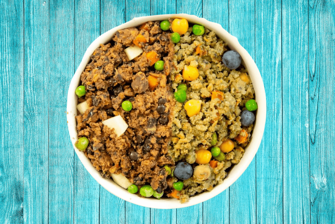 Comida vegana para perros 3
