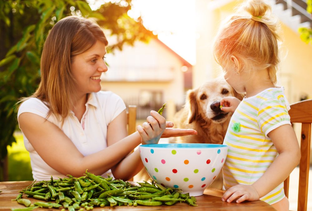 Guisantes para perros