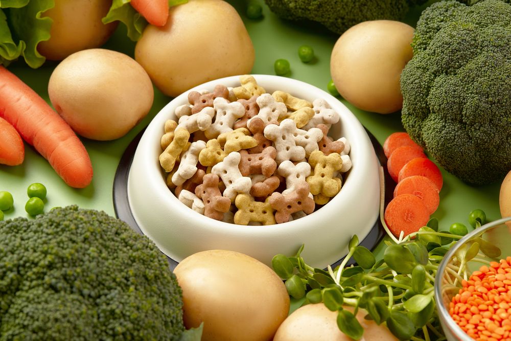 Pienso vegano para perros