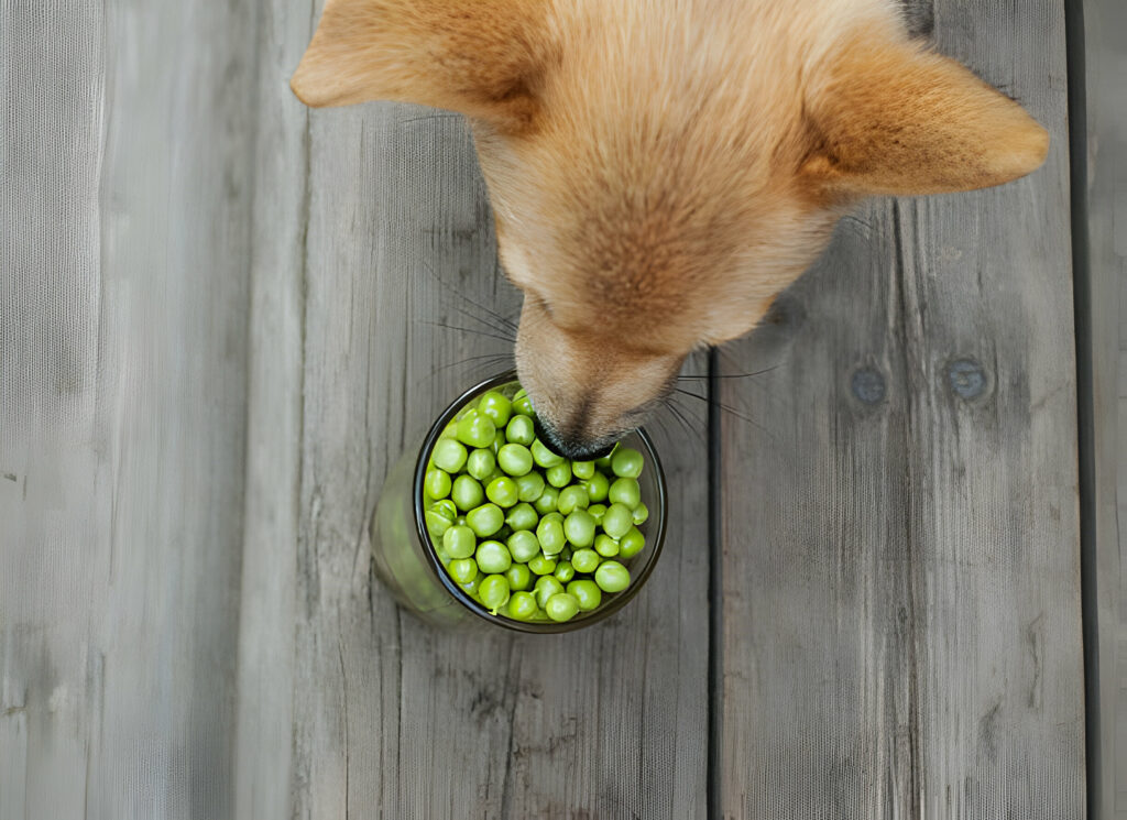 Perro comiendo guisantes